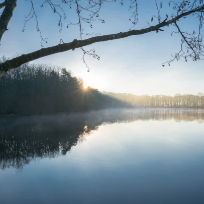 lac et étangs en sologne